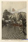 Image ID 810133