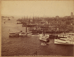 Image ID 810156