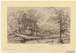 Image ID 810165