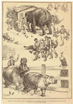Image ID 810167