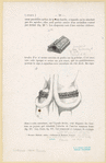 Image ID 810564