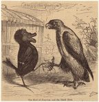 Image ID 812454