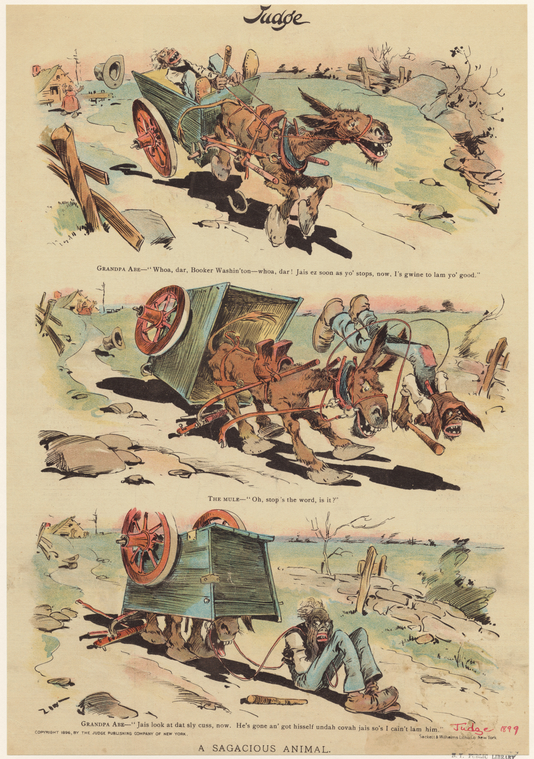 Image ID 812487
