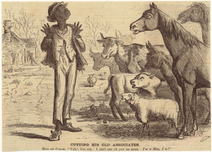 Image ID 812489