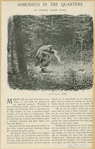 Image ID 812528