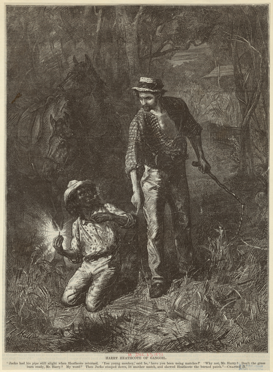 Image ID 812566
