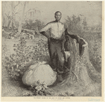 Image ID 812628
