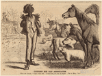 Image ID 812634