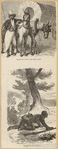 Image ID 812663