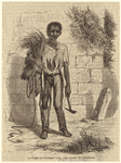 Image ID 812681