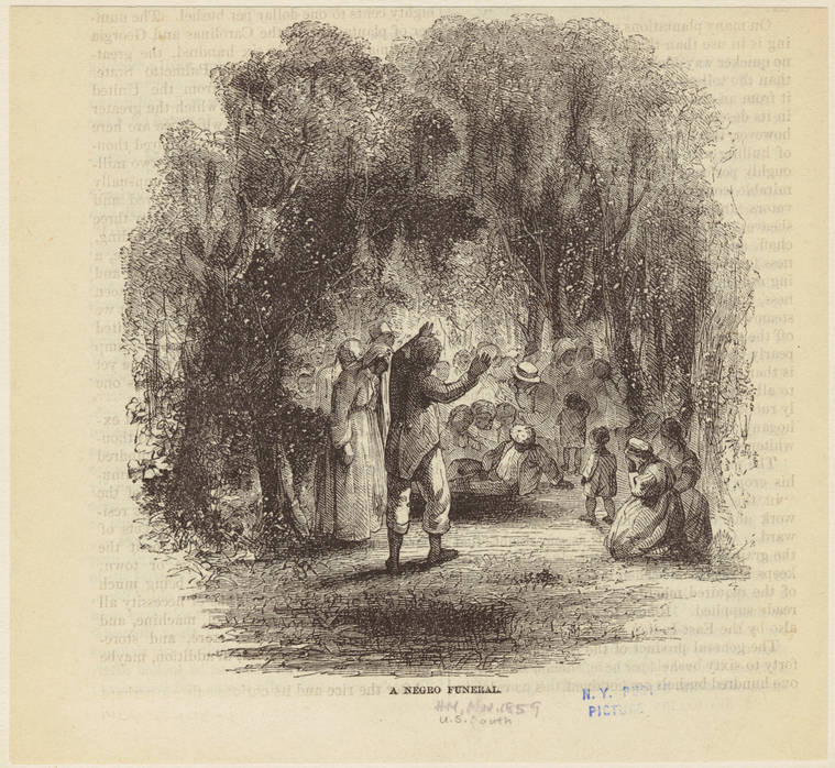 Image ID 812713
