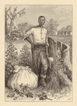 Image ID 812719