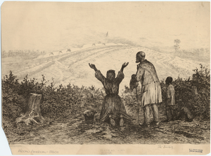 Image ID 812739