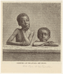 Image ID 812774