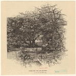 Image ID 812827