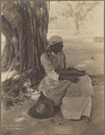 Image ID 812888