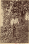 Image ID 812897
