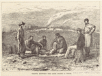 Image ID 812982
