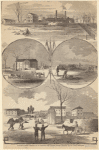 Image ID 813028