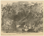 Image ID 813159