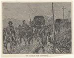 Image ID 813372