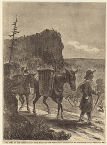 Image ID 813384