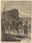 Image ID 813384