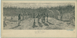 Image ID 813432