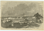Image ID 813441