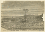 Image ID 813442