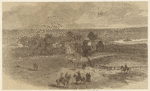 Image ID 813489