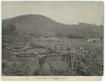 Image ID 813492