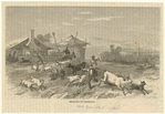 Image ID 813526