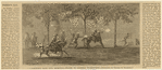 Image ID 813529
