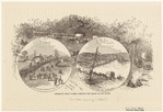Image ID 813628