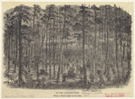 Image ID 813636