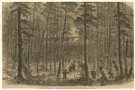 Image ID 813693