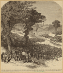 Image ID 813714