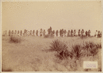 Image ID 813792