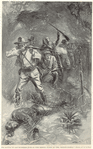 Image ID 813800