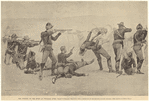 Image ID 813853