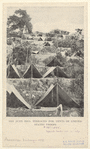 Image ID 813870