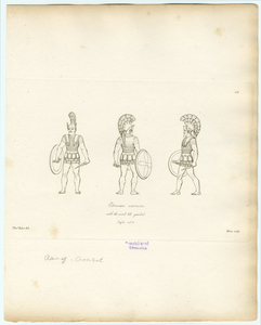 Image ID 813964