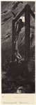 Image ID 814459