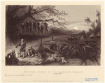 Image ID 814461