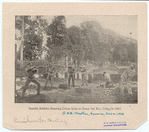 Image ID 814499