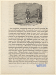 Image ID 814639
