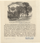 Image ID 814655