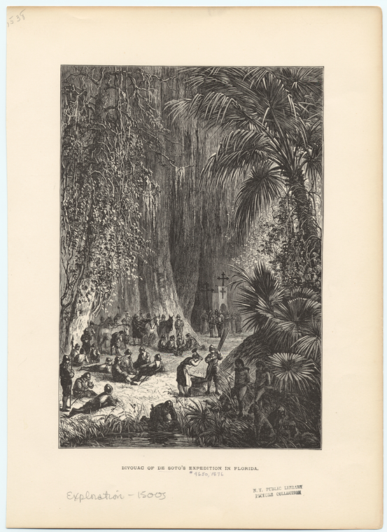 Image ID 814663
