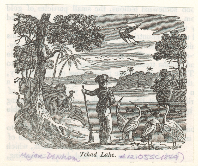 Image ID 814736
